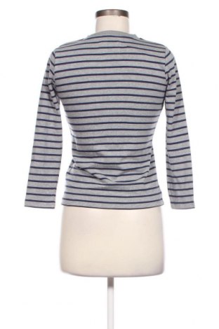 Damen Shirt Hound, Größe XS, Farbe Mehrfarbig, Preis 16,70 €