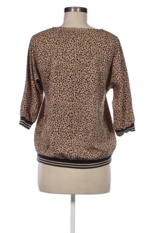 Γυναικεία μπλούζα Jbc, Μέγεθος S, Χρώμα Πολύχρωμο, Τιμή 2,23 €