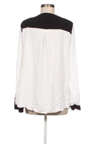 Γυναικεία μπλούζα Kenny S., Μέγεθος XL, Χρώμα Πολύχρωμο, Τιμή 6,53 €