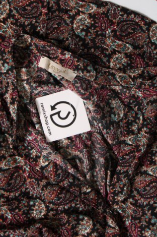 Damen Shirt Lenny B. Paris, Größe S, Farbe Mehrfarbig, Preis 2,17 €