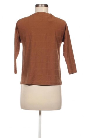 Γυναικεία μπλούζα Manguun, Μέγεθος XS, Χρώμα Καφέ, Τιμή 3,17 €