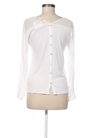 Γυναικεία μπλούζα Massimo Dutti, Μέγεθος XS, Χρώμα Λευκό, Τιμή 17,39 €