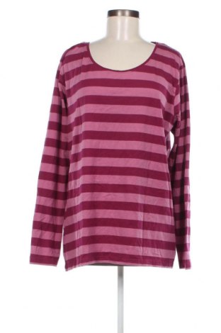 Γυναικεία μπλούζα My Wear, Μέγεθος XXL, Χρώμα Ρόζ , Τιμή 5,88 €