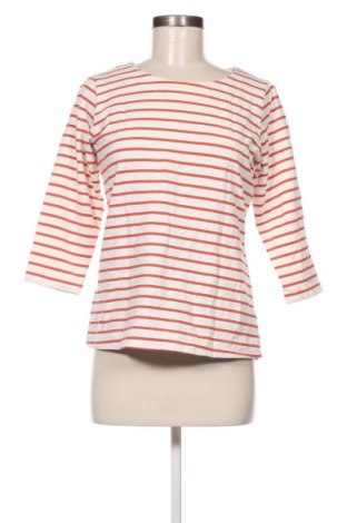 Γυναικεία μπλούζα Nosh, Μέγεθος M, Χρώμα Πολύχρωμο, Τιμή 11,15 €