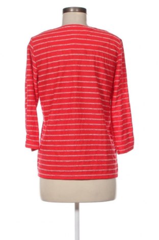 Γυναικεία μπλούζα Paola, Μέγεθος M, Χρώμα Κόκκινο, Τιμή 11,75 €