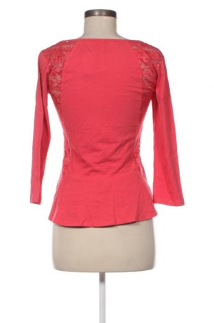 Damen Shirt Piazza Italia, Größe L, Farbe Rosa, Preis 3,17 €