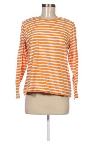 Γυναικεία μπλούζα Pota, Μέγεθος M, Χρώμα Πολύχρωμο, Τιμή 2,70 €