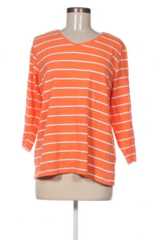 Γυναικεία μπλούζα Pota, Μέγεθος XL, Χρώμα Πορτοκαλί, Τιμή 3,64 €