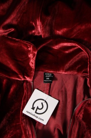 Γυναικεία μπλούζα SHEIN, Μέγεθος XL, Χρώμα Κόκκινο, Τιμή 3,06 €