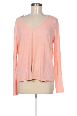 Γυναικεία μπλούζα Terranova, Μέγεθος XL, Χρώμα Ρόζ , Τιμή 3,76 €