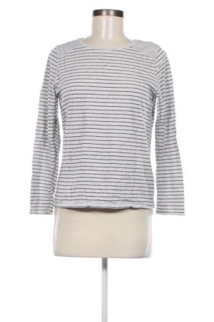 Γυναικεία μπλούζα Tex, Μέγεθος M, Χρώμα Γκρί, Τιμή 2,35 €