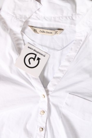 Γυναικεία μπλούζα Zara, Μέγεθος M, Χρώμα Λευκό, Τιμή 25,01 €