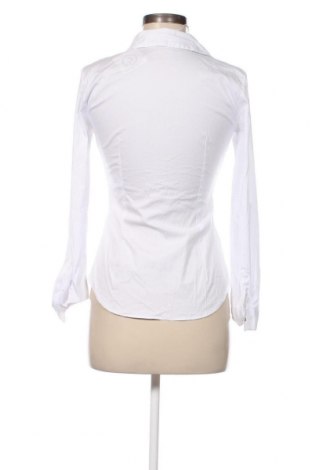 Damen Shirt Zara, Größe S, Farbe Weiß, Preis 36,69 €