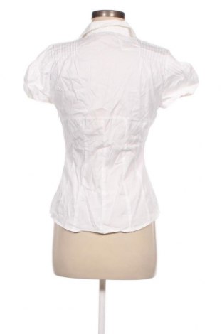 Damen Shirt Zara, Größe L, Farbe Weiß, Preis 27,62 €