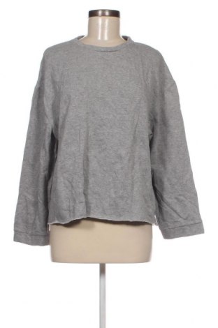 Γυναικεία μπλούζα Zara Trafaluc, Μέγεθος M, Χρώμα Γκρί, Τιμή 3,59 €