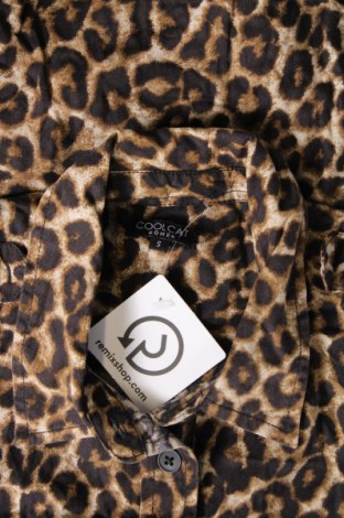 Γυναικείο πουκάμισο CoolCat, Μέγεθος S, Χρώμα Πολύχρωμο, Τιμή 3,12 €