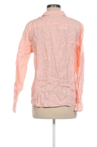 Γυναικείο πουκάμισο Star Clippers, Μέγεθος XXL, Χρώμα Ρόζ , Τιμή 19,79 €