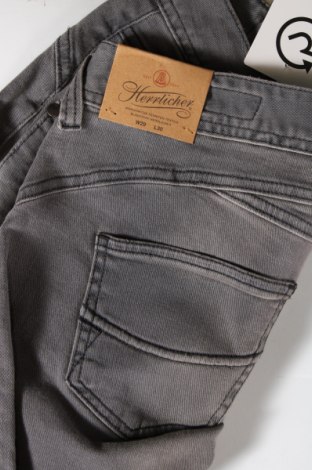 Damen Jeans Herrlicher, Größe M, Farbe Grau, Preis 9,96 €