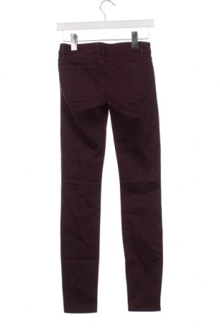 Damen Jeans The Kooples, Größe S, Farbe Lila, Preis € 27,28