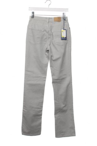 Дамски дънки Trussardi Jeans, Размер XS, Цвят Сив, Цена 14,28 лв.