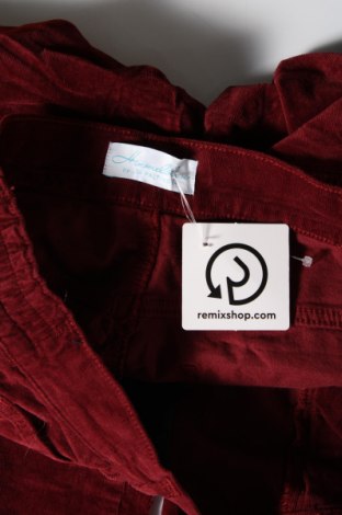 Pantaloni de velvet de femei Lola Paltinger, Mărime L, Culoare Roșu, Preț 26,71 Lei