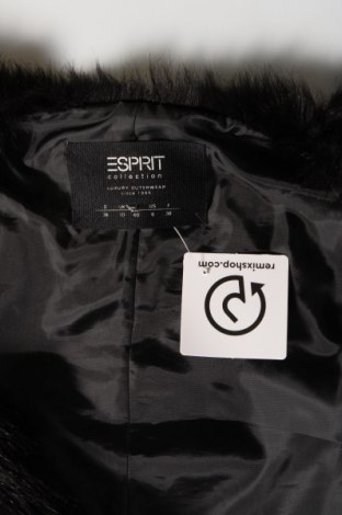 Damenweste Esprit, Größe S, Farbe Schwarz, Preis 7,52 €