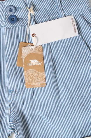Damen Shorts Trespass, Größe XXS, Farbe Mehrfarbig, Preis 52,58 €