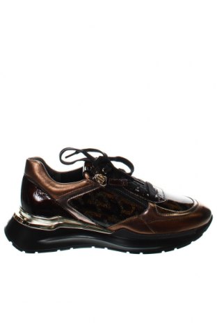 Γυναικεία παπούτσια Hogl, Μέγεθος 35, Χρώμα Πολύχρωμο, Τιμή 101,65 €