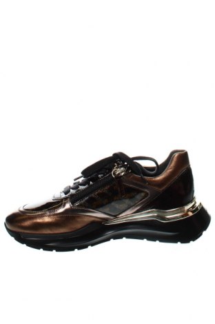 Γυναικεία παπούτσια Hogl, Μέγεθος 35, Χρώμα Πολύχρωμο, Τιμή 101,65 €