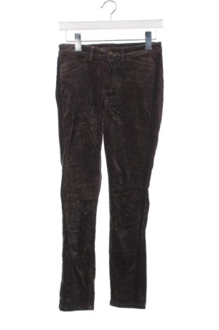 Дамски панталон Scanlan Theodore, Размер M, Цвят Сив, Цена 8,96 лв.