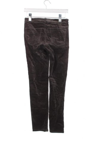 Дамски панталон Scanlan Theodore, Размер M, Цвят Сив, Цена 16,80 лв.
