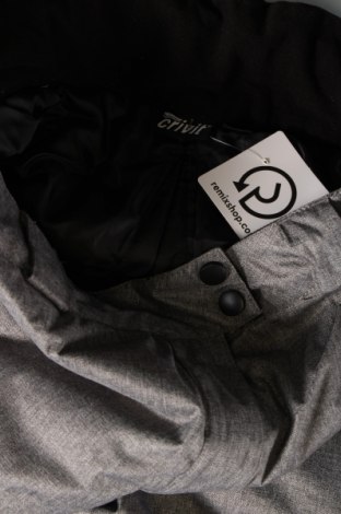 Дамски панталон за зимни спортове Crivit, Размер XL, Цвят Сив, Цена 11,25 лв.