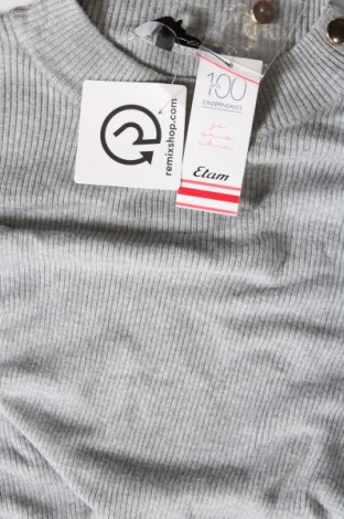 Damenpullover Etam, Größe XL, Farbe Grau, Preis € 17,94