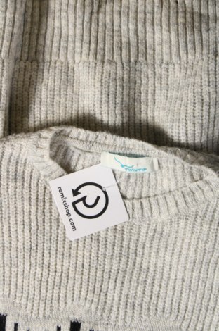 Γυναικείο πουλόβερ Twintip, Μέγεθος S, Χρώμα Γκρί, Τιμή 8,07 €
