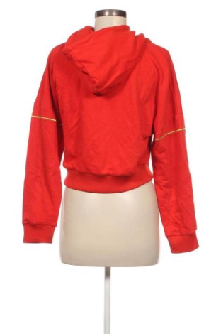 Damen Sweatshirt DKNY, Größe S, Farbe Rot, Preis € 23,40
