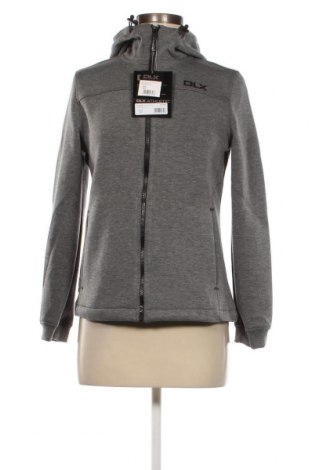 Damen Sweatshirt DLX, Größe XXS, Farbe Grau, Preis 11,04 €