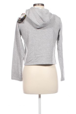 Damen Sweatshirt Undiz, Größe S, Farbe Grau, Preis € 13,46