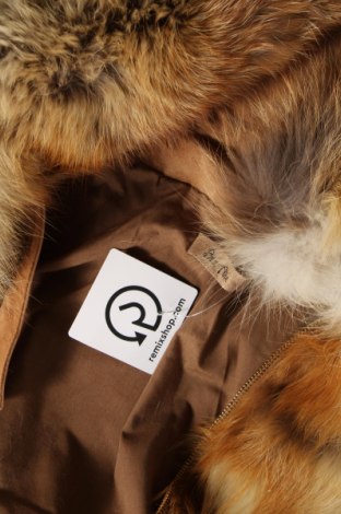 Dámska kožená bunda  BelAir, Veľkosť M, Farba Béžová, Cena  449,84 €