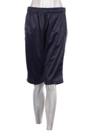 Γυναικείο αθλητικό παντελόνι, Μέγεθος M, Χρώμα Μπλέ, Τιμή 3,59 €