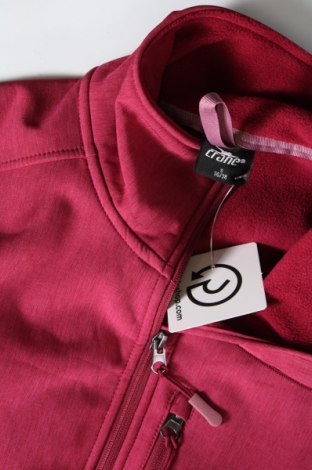 Γυναικείο μπουφάν αθλητικό Crane, Μέγεθος S, Χρώμα Ρόζ , Τιμή 5,94 €
