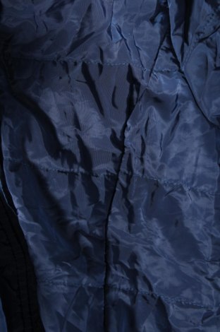 Dámska bunda , Veľkosť M, Farba Modrá, Cena  11,51 €