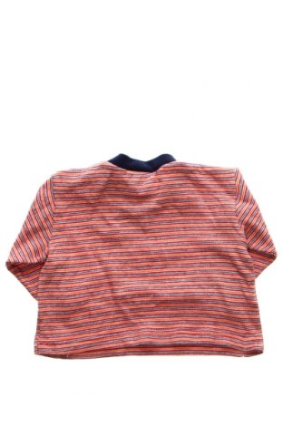 Παιδική μπλούζα, Μέγεθος 3-6m/ 62-68 εκ., Χρώμα Πολύχρωμο, Τιμή 13,35 €