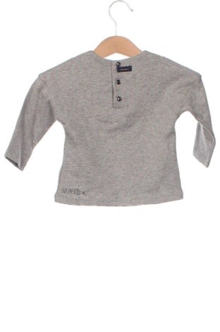 Kinder Shirt Catimini, Größe 6-9m/ 68-74 cm, Farbe Grau, Preis € 4,27