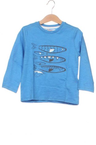 Dziecięca bluzka Du Pareil Au Meme, Rozmiar 3-4y/ 104-110 cm, Kolor Niebieski, Cena 64,00 zł