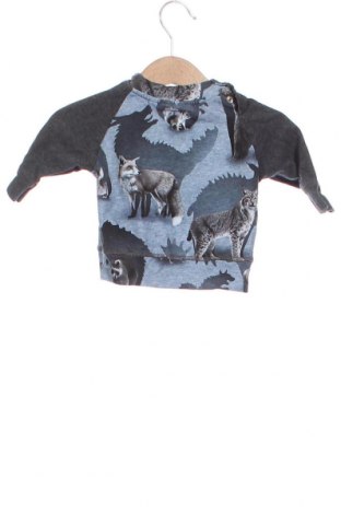 Παιδική μπλούζα Molo, Μέγεθος 1-2m/ 50-56 εκ., Χρώμα Πολύχρωμο, Τιμή 7,68 €
