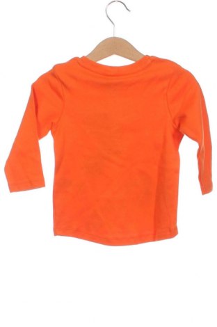 Детска блуза Orchestra, Размер 6-9m/ 68-74 см, Цвят Оранжев, Цена 10,78 лв.