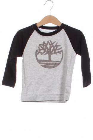 Παιδική μπλούζα Timberland, Μέγεθος 18-24m/ 86-98 εκ., Χρώμα Πολύχρωμο, Τιμή 24,54 €