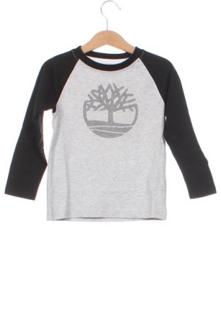 Детска блуза Timberland, Размер 2-3y/ 98-104 см, Цвят Сив, Цена 65,57 лв.