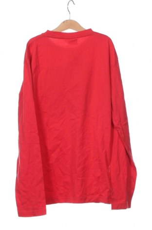 Kinder Shirt Tom Tailor, Größe 15-18y/ 170-176 cm, Farbe Rot, Preis 14,24 €