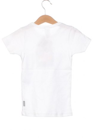 Tricou pentru copii Absorba, Mărime 4-5y/ 110-116 cm, Culoare Alb, Preț 94,74 Lei